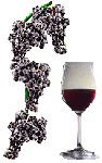 La vigne et le vin